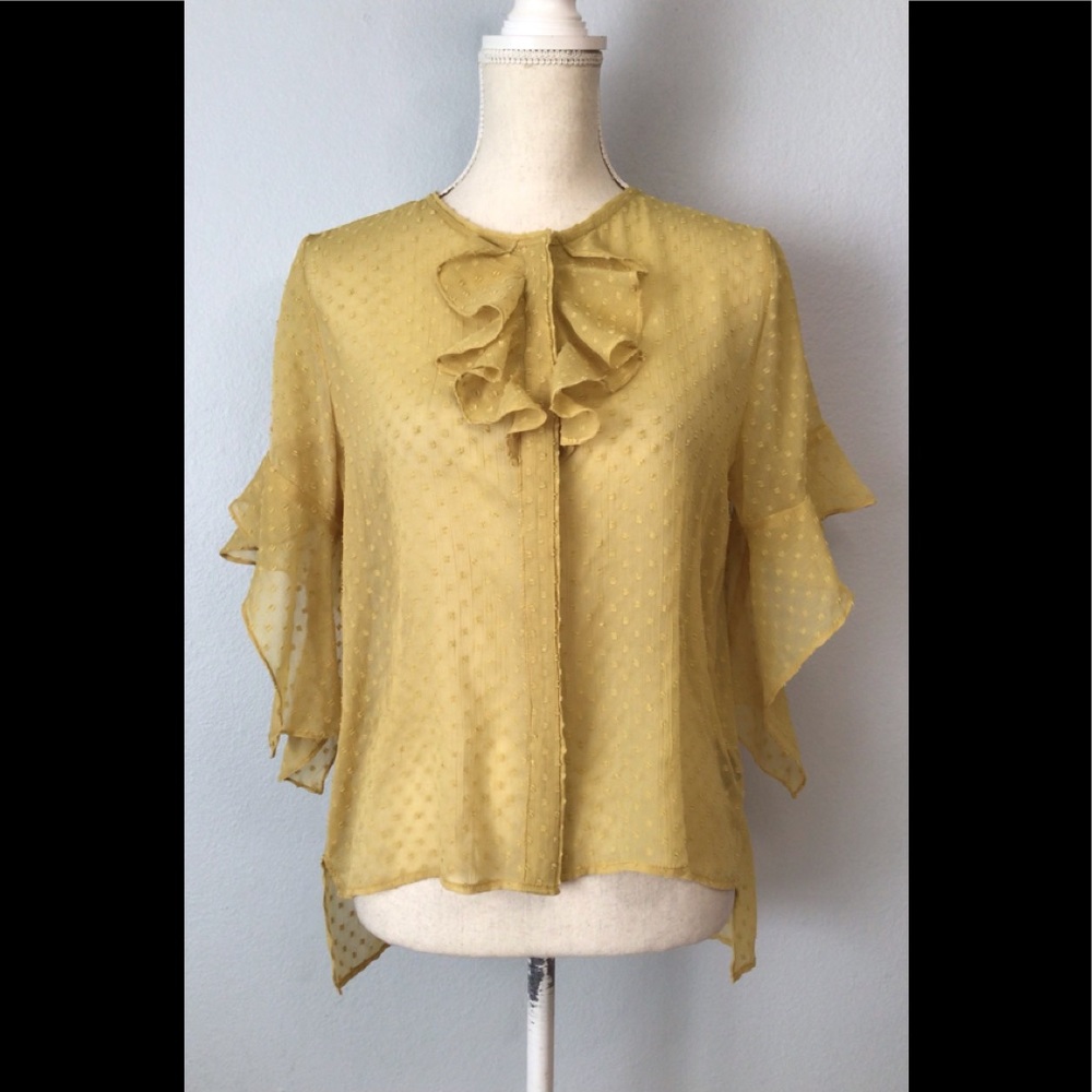 Walter Baker Sheer Blouse Top Dots Ruffled